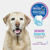 Nylabone Advanced Oral Care Senior Dog Dental Kit with Cushiony Soft - Bristle Toothbrush Bacon 1ea - TRICK & TAILS