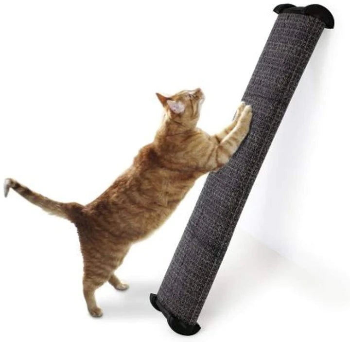 Omega Paw Lean - it Scratch Post Assorted 1ea/25 in, Regular - TRICK & TAILS