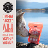 The Only Freeze Dried Salmon Dogs Need - TRICK & TAILS