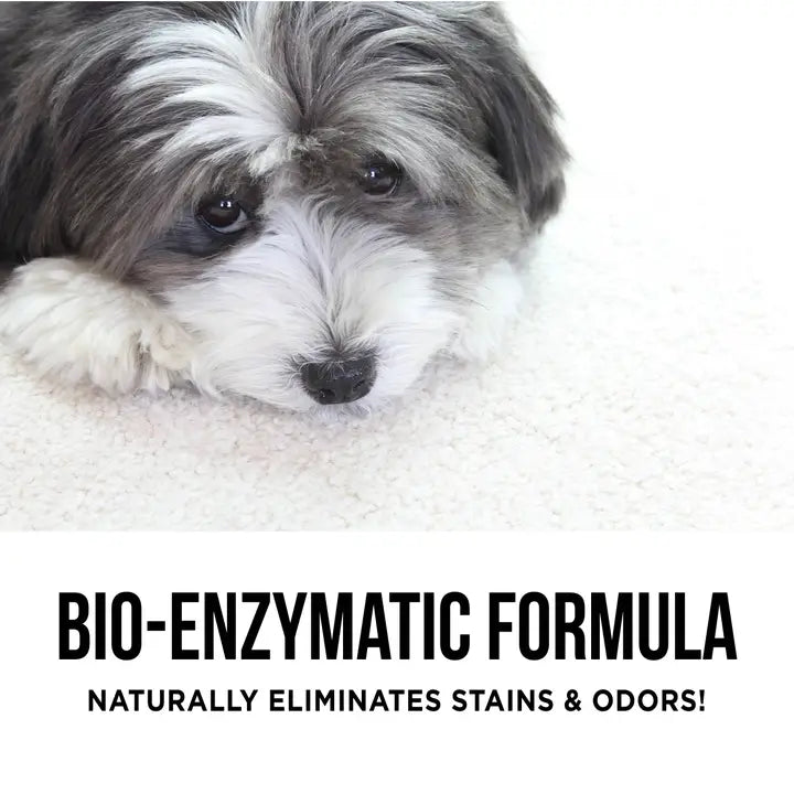 The Only Pet Stain & Odor Remover You Need - TRICK & TAILS